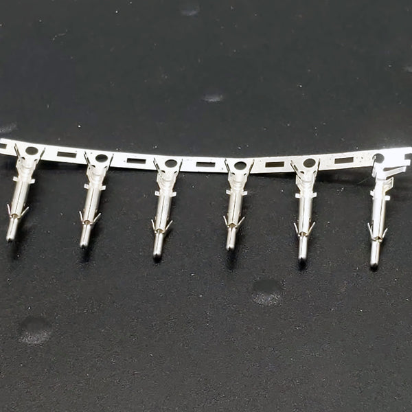 6 Pin Molex Connector (With Pins)